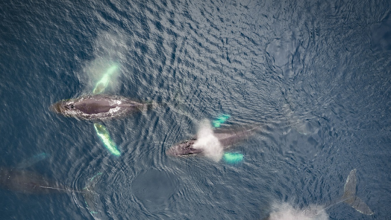 希望的浪潮
