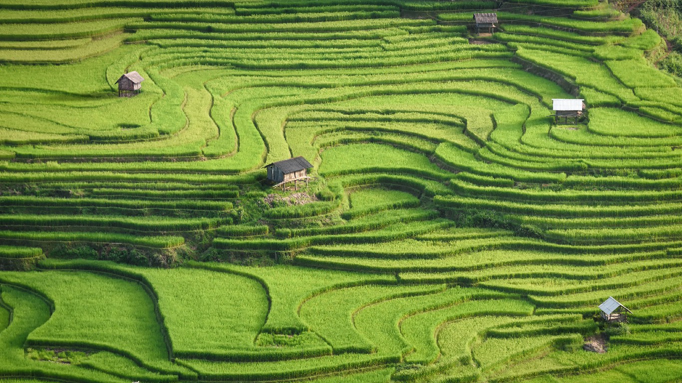 阳光下的梯田
