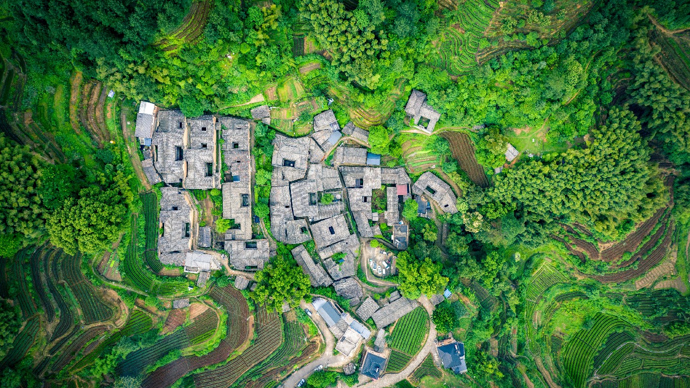 茶歇时光