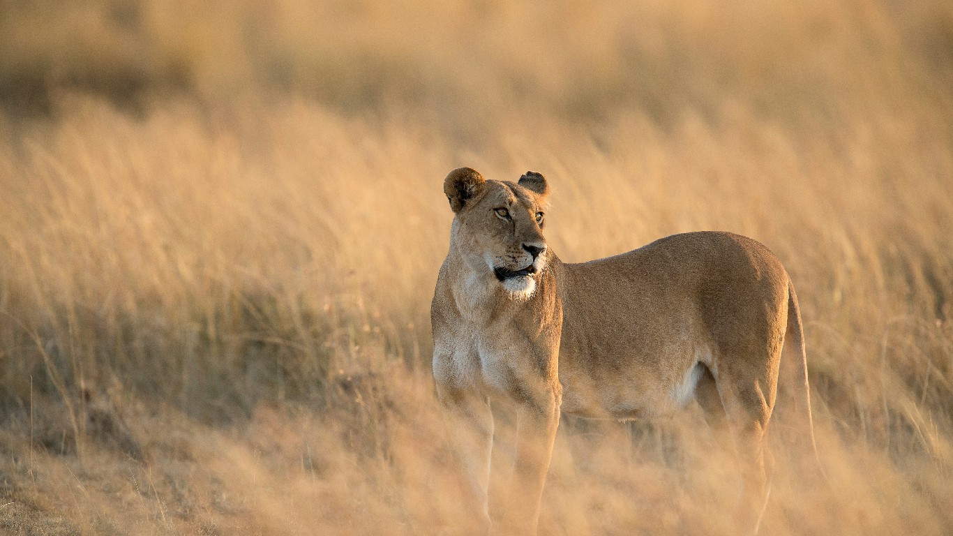为正义怒吼