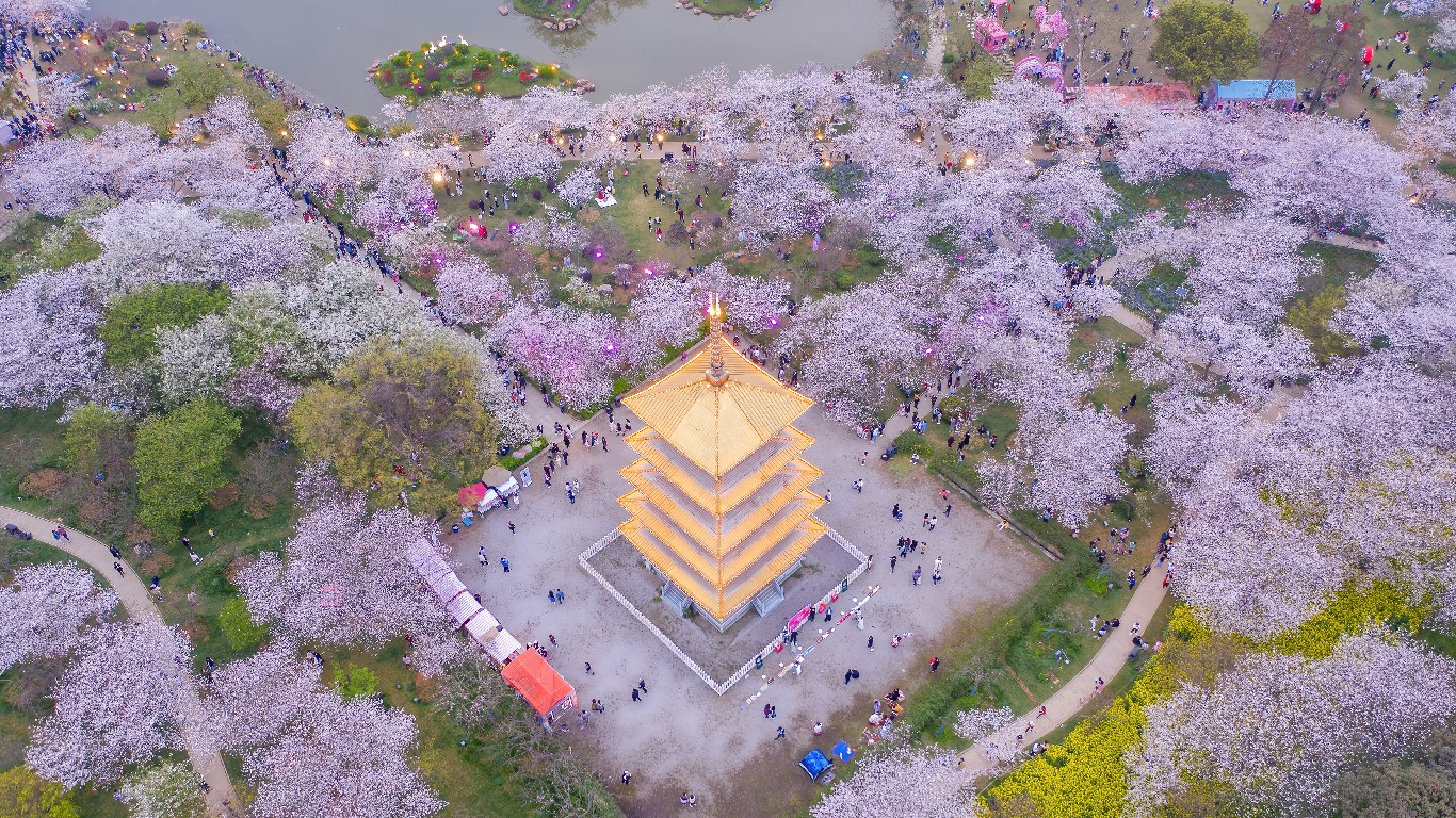 春天的形状