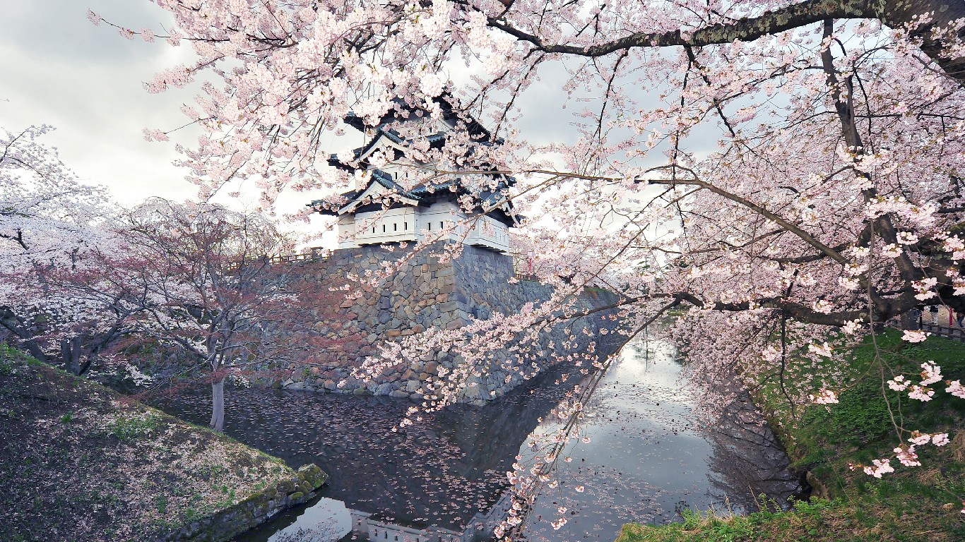 芬芳四月